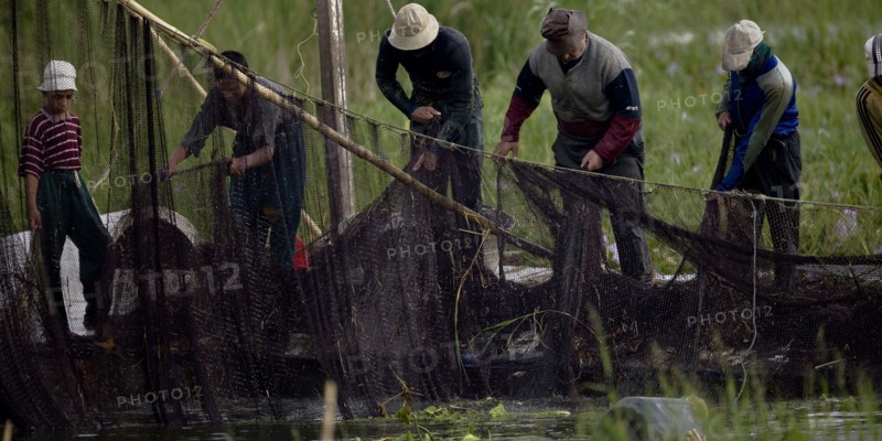 Pêcheurs du delta du Nil