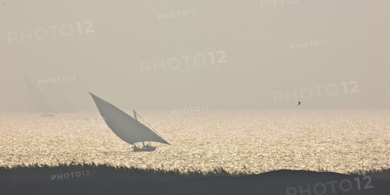 Felouques sur le delta du Nil
