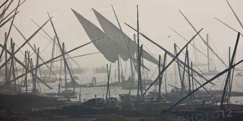 Delta du Nil