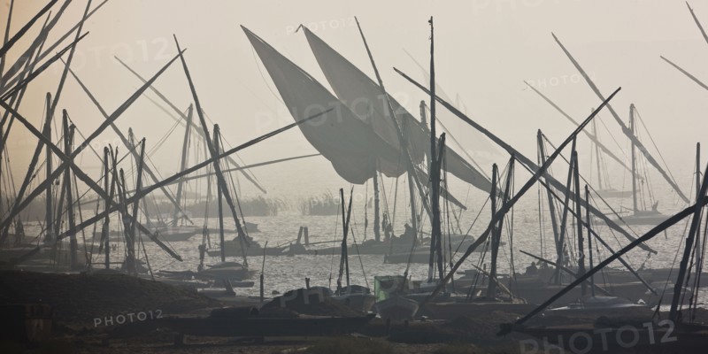 Felouques sur le delta du Nil