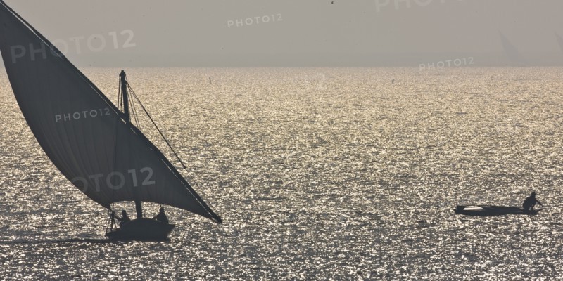 Felouques sur le delta du Nil