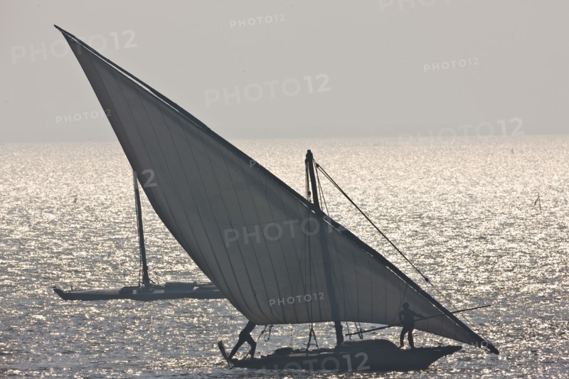 Felouques sur le delta du Nil