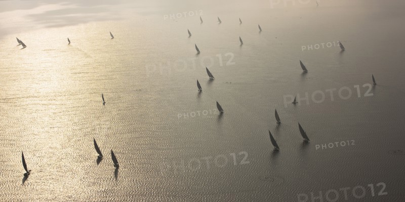 Felouques sur le delta du Nil