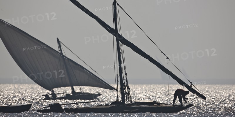 Felouques sur le delta du Nil