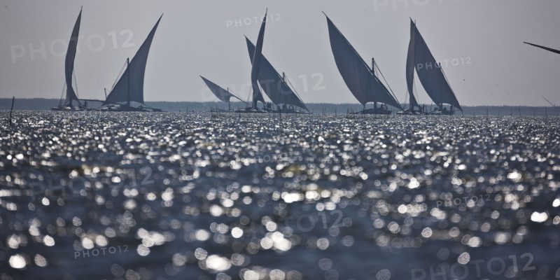 Felouques sur le delta du Nil