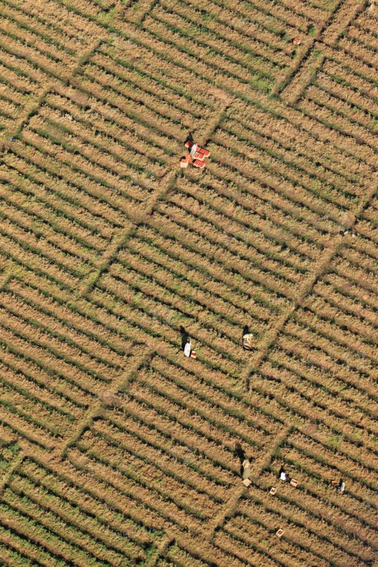 Vue aérienne du Nil entre Louxor et Assouan