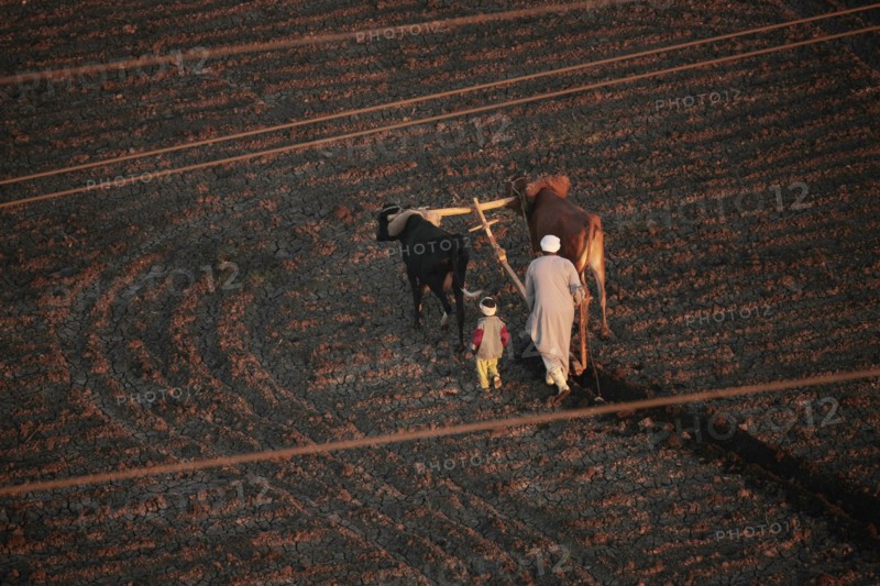 Scène de la vie quotidienne aux environs de Louxor