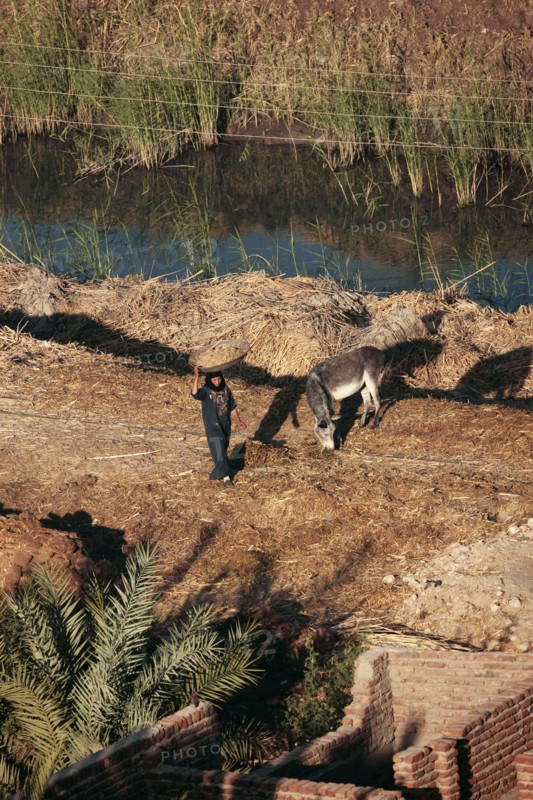 Scène de la vie quotidienne aux environs de Louxor