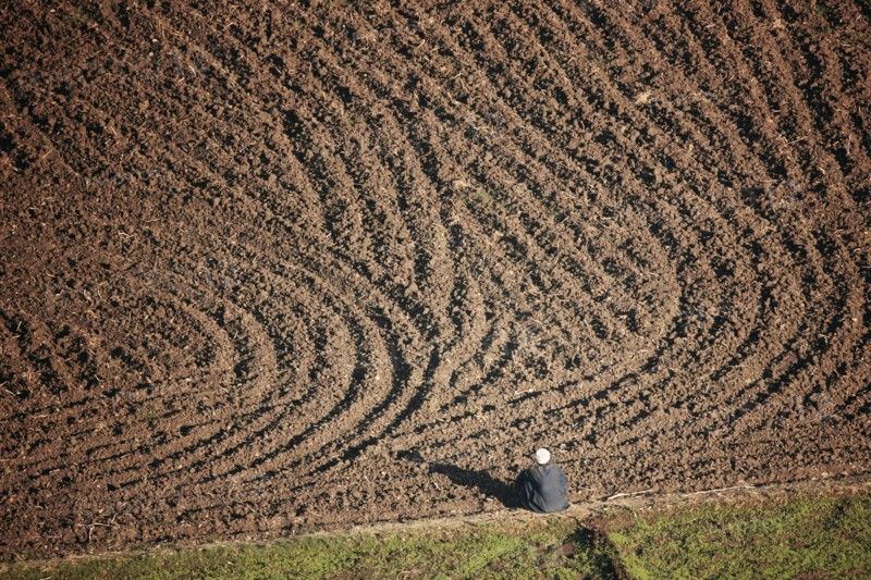Scène de la vie quotidienne aux environs de Louxor