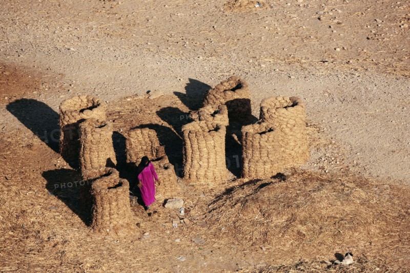 Scène de la vie quotidienne aux environs de Louxor