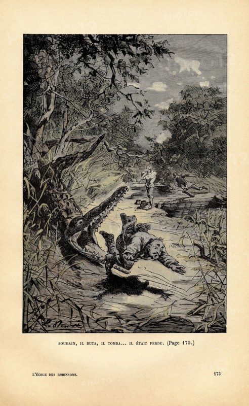 J. Verne, "L'école des Robinsons" (illustration)