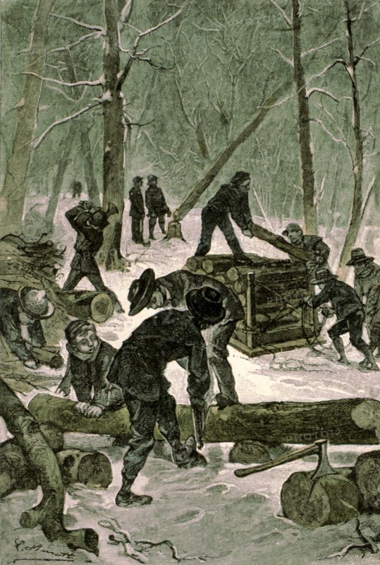 Jules Verne, "Deux ans de vacances", illustration