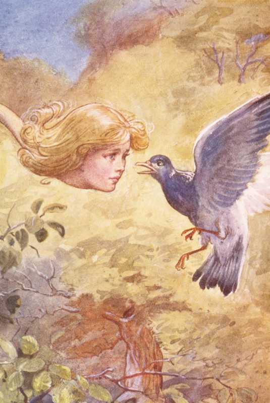 Alice au pays des merveilles, illustration de A.E. Jackson