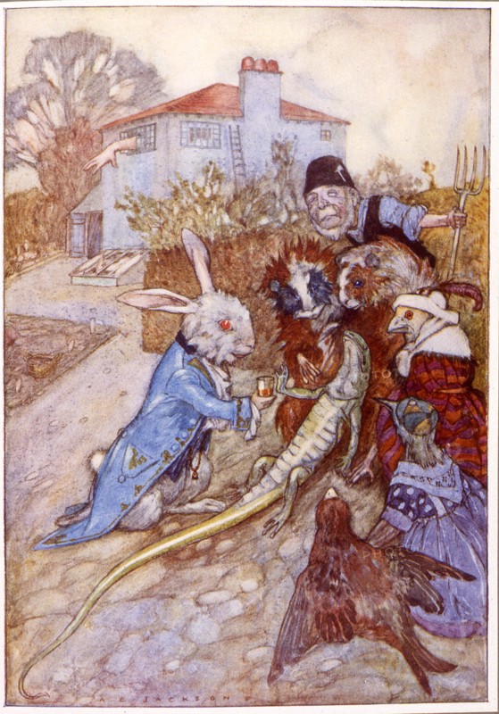 Alice au pays des merveilles, illustration de A.E. Jackson