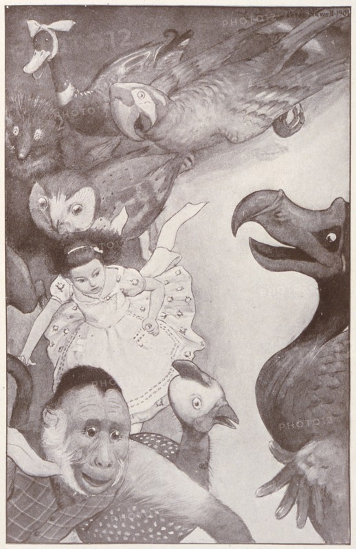 Alice au pays des merveilles, illustration de Peter Newell