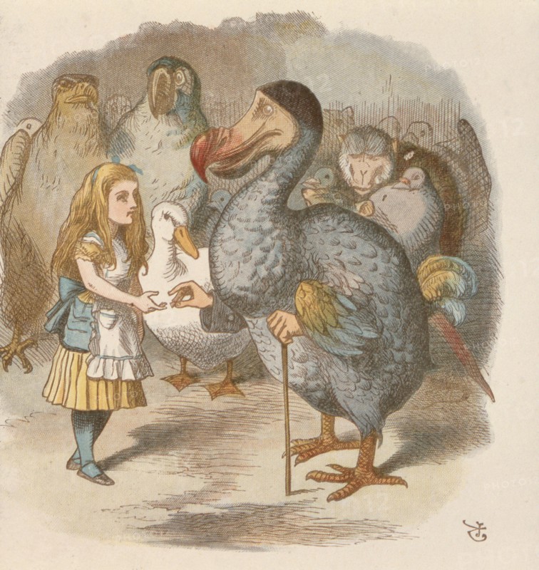 Alice au pays des merveilles, illustration de Sir John Tenniel