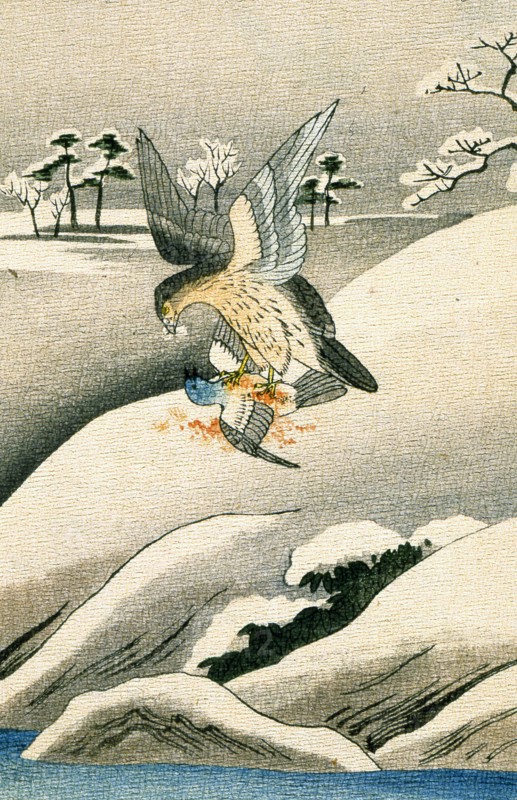Fables choisies de Florian: "Le milan et le pigeon"