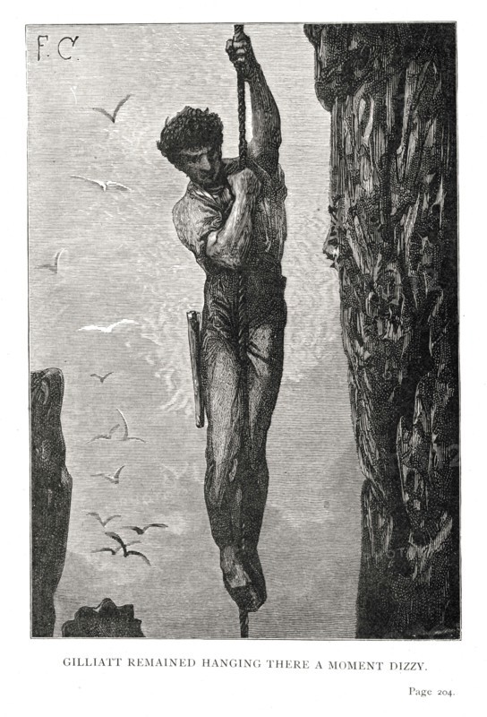 Illustration of "Toilers of the Sea", by Victor Hugo