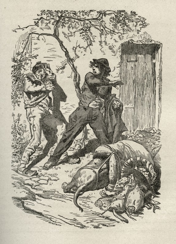 Illustration de "Les Travailleurs de la Mer", de Victor Hugo