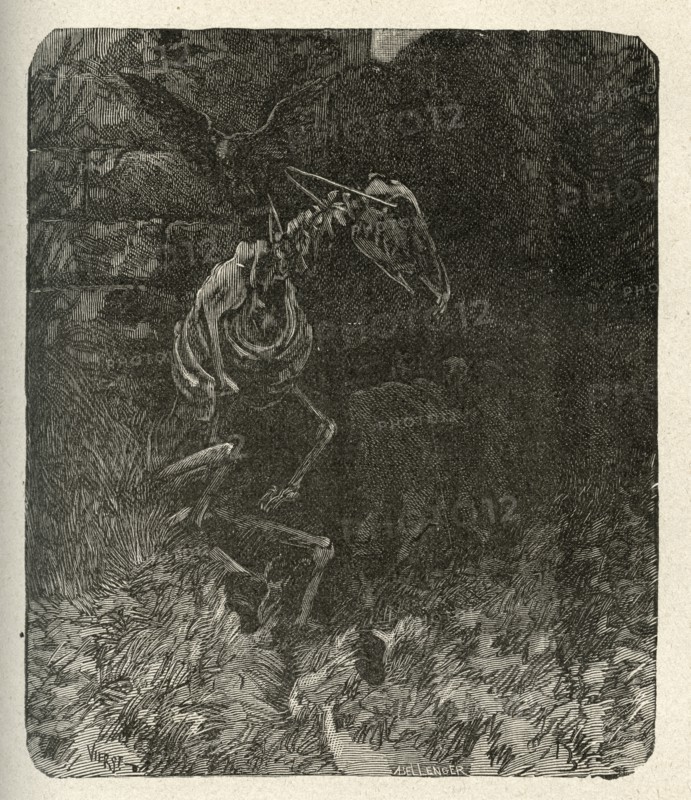 Illustration de "Les Travailleurs de la Mer", de Victor Hugo