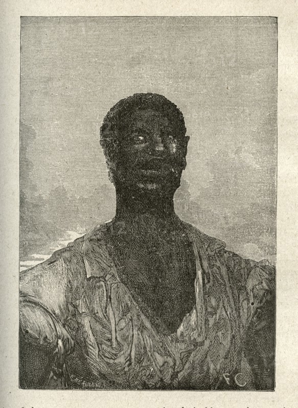 Illustration de "Les Travailleurs de la Mer", de Victor Hugo
