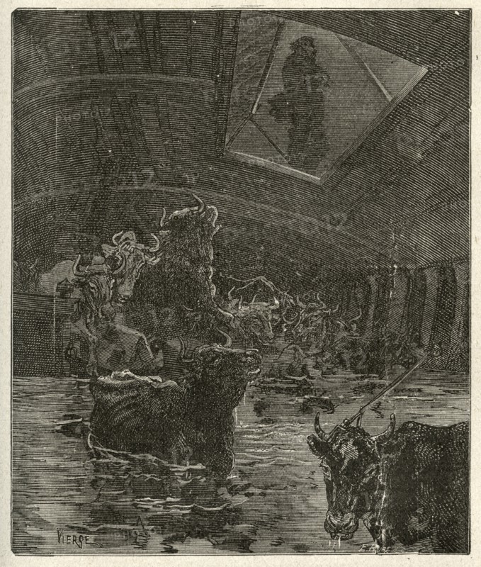 Illustration of "Toilers of the Sea", by Victor Hugo
