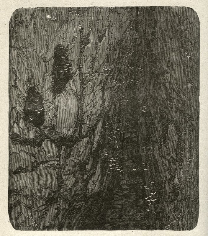 Illustration de "Les Travailleurs de la Mer", de Victor Hugo