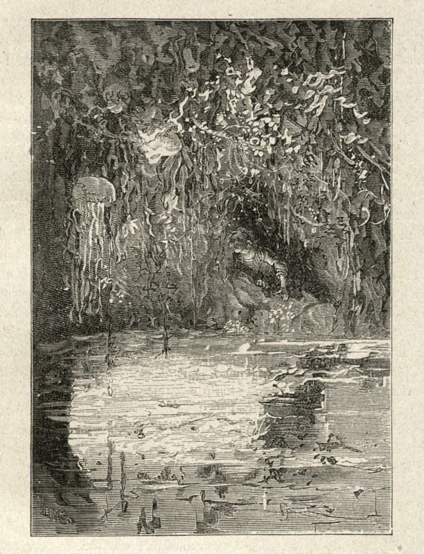 Illustration de "Les Travailleurs de la Mer", de Victor Hugo
