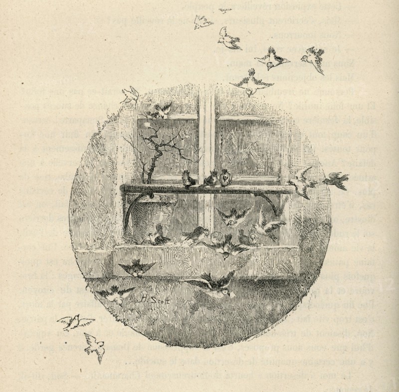 Illustration de "Histoire d'un crime", de Victor Hugo