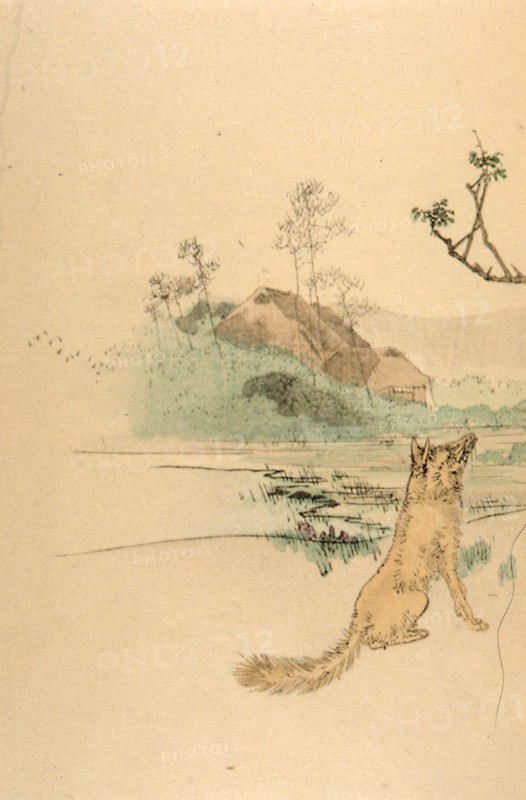 Choix de fables de La Fontaine, tome 1. 1894