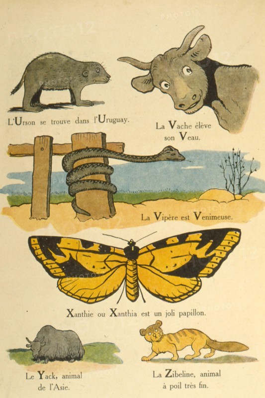 "Le Premier livre de l'enfance, A. E. I. O. U", par Benjamin Rabier