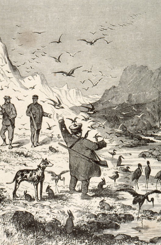 "Voyages et aventures du Capitaine Hatteras : les anglais au Pôle Nord, le désert de glace"