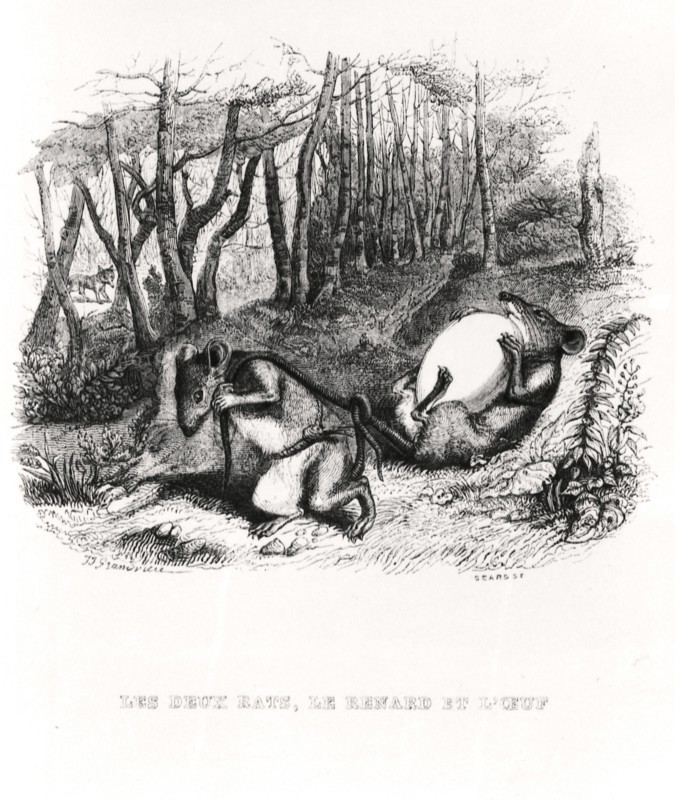 Les deux rats, le Renard et l'oeuf