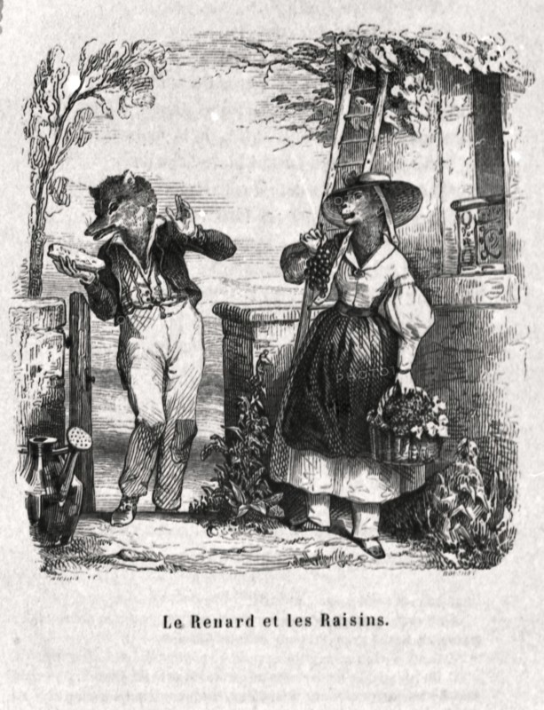 The Fox and grapes