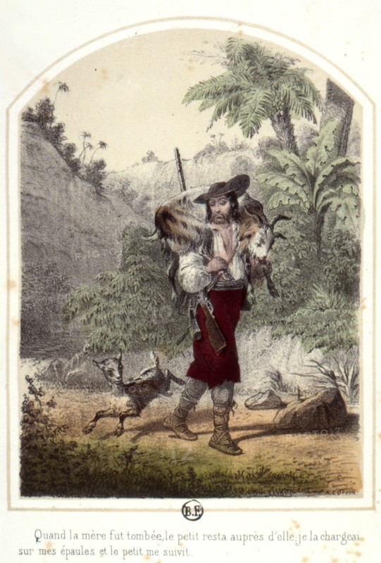 Les aventures de Robinson Crusoë, 1876