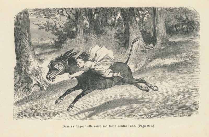 Les malheurs de Sophie, par la Comtesse de Ségur