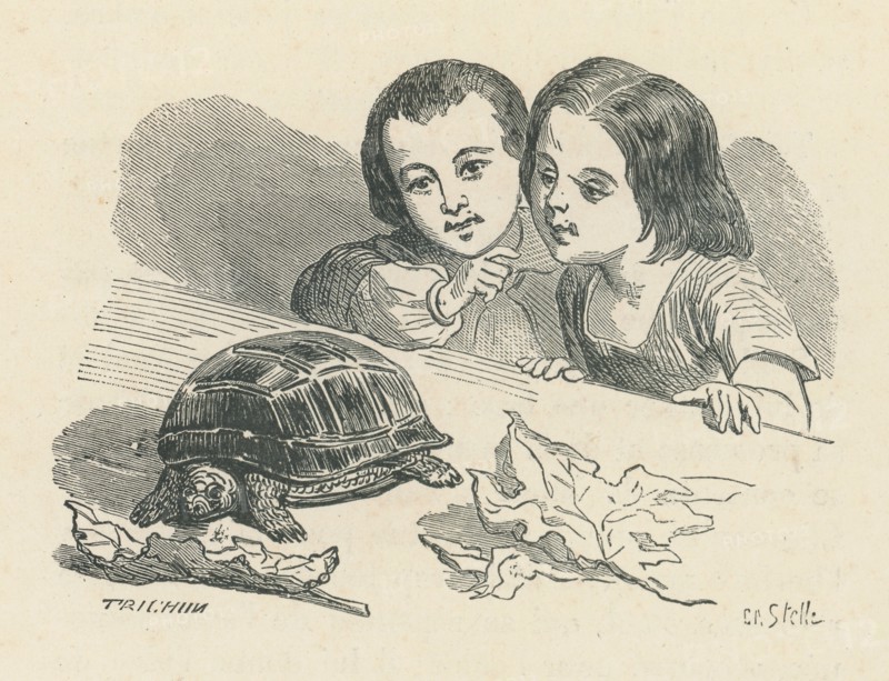 Les malheurs de Sophie, par la Comtesse de Ségur