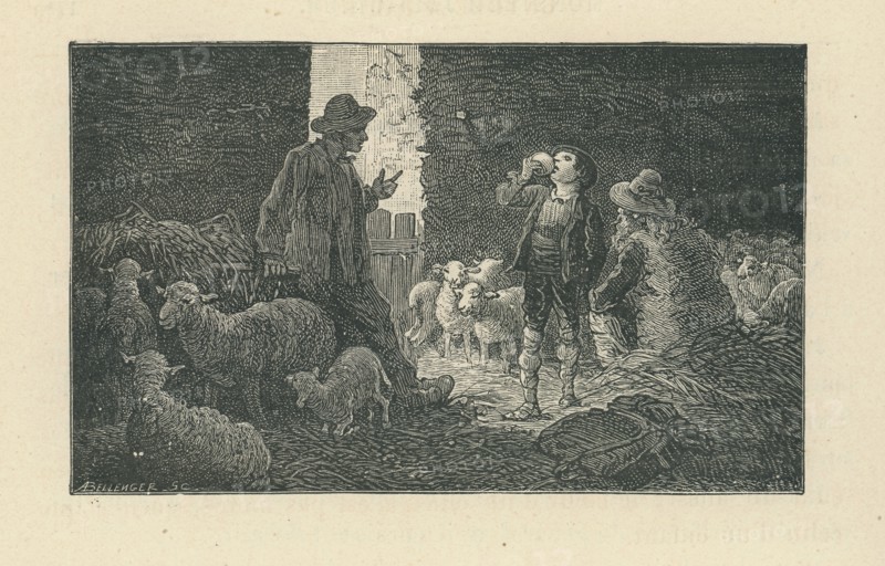 Sans famille, par Hector Malot