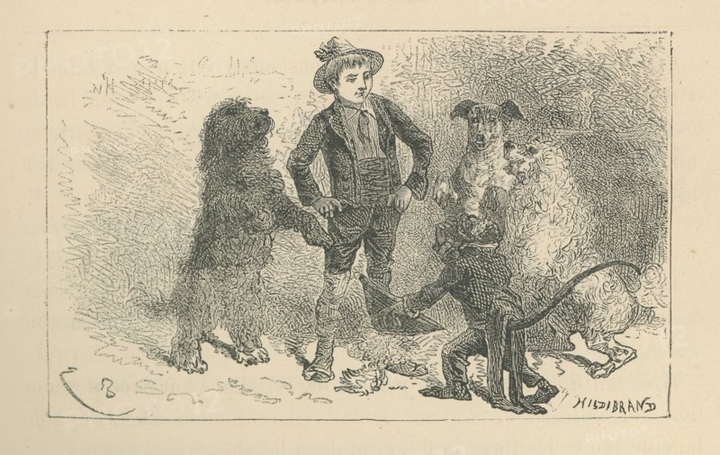 Sans famille, par Hector Malot