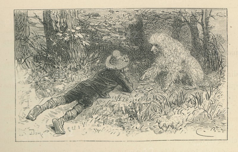 Sans famille, par Hector Malot