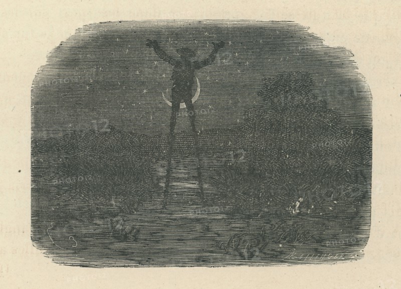 Nobody's Boy, by Hector Malot