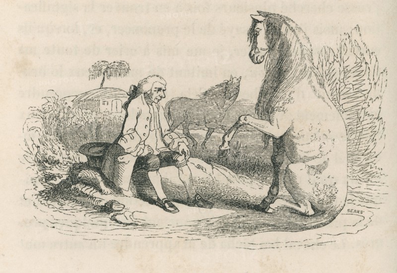 Jonathan Swift, "Voyages de Gulliver dans des contrées lointaines", tome 2