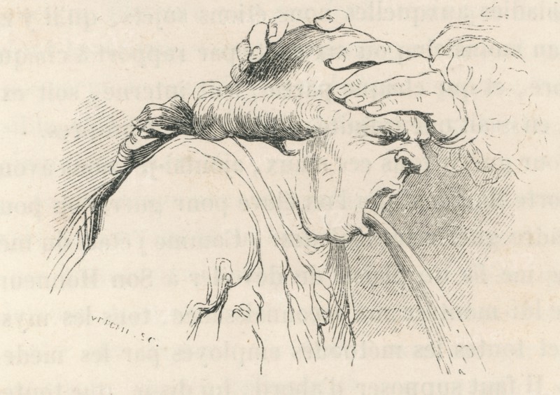 Jonathan Swift, "Gulliver's Travels", vol.2