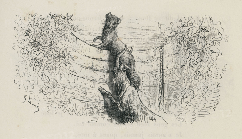 Fable "Le Renard et le Bouc"