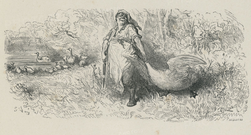Fable "Le Cygne et le cuisinier"