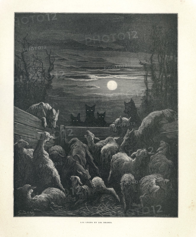 Fable "Les Loups et les brebis"