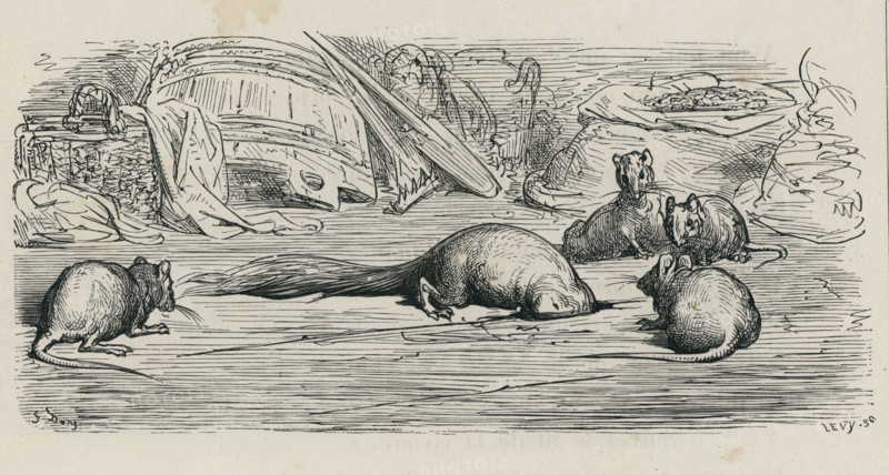 Fable "La Belette entrée dans un grenier"