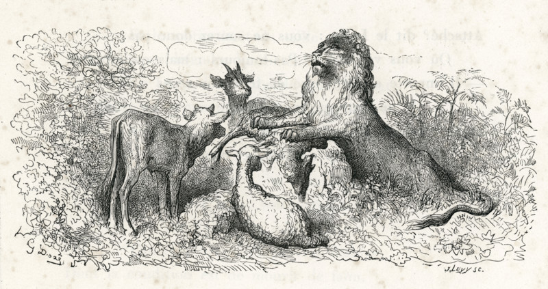 Fable "La Génisse, la chèvre et la brebis en société avec le lion"