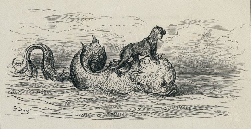 Fable "Le Singe et le Dauphin"