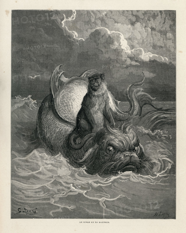 Fable "Le Singe et le Dauphin"